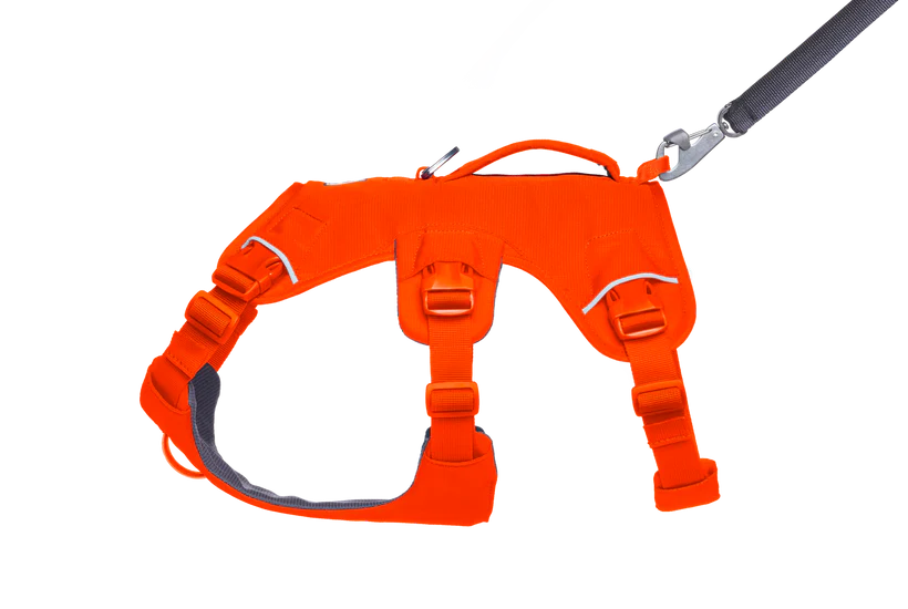 Ruffwear Web Master™ sele Blaze Orange