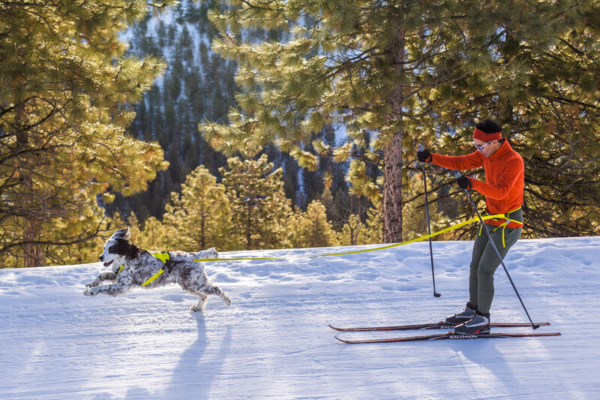 Ruffwear Omnijore™ Joring System Lichen Green