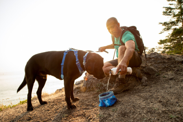 Ruffwear Front Range® sele Coastal Mountains