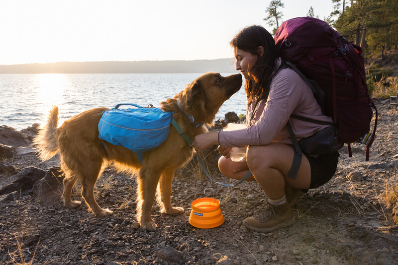 Ruffwear Bivy™ Skål Orange Medium - Billede 4