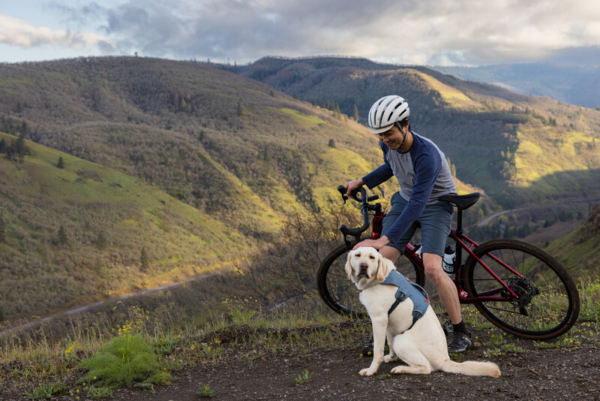 Ruffwear Web Master™ sele Slate Blue