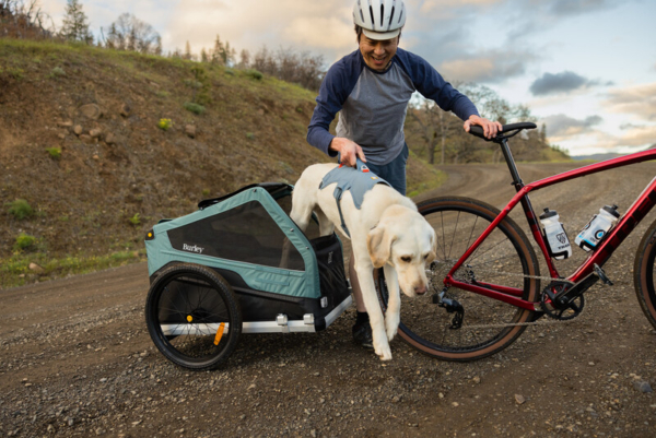 Ruffwear Web Master™ sele Slate Blue