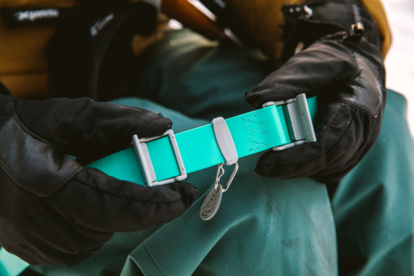 Ruffwear Confluence™ Halsbånd Aurora Teal