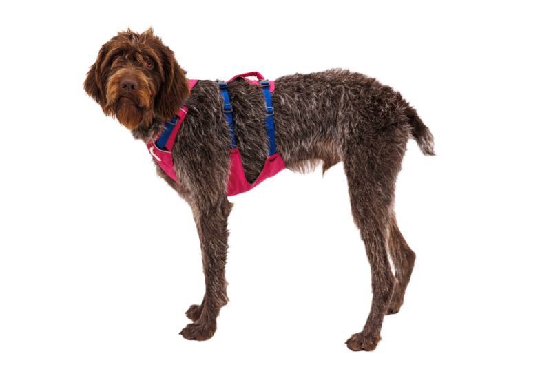 Ruffwear Flagline™ sele Alpenglow Pink