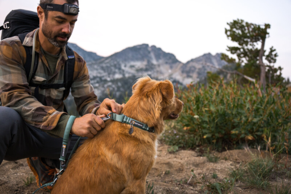 Ruffwear Web Reaction™ Halsbånd River Rock Green