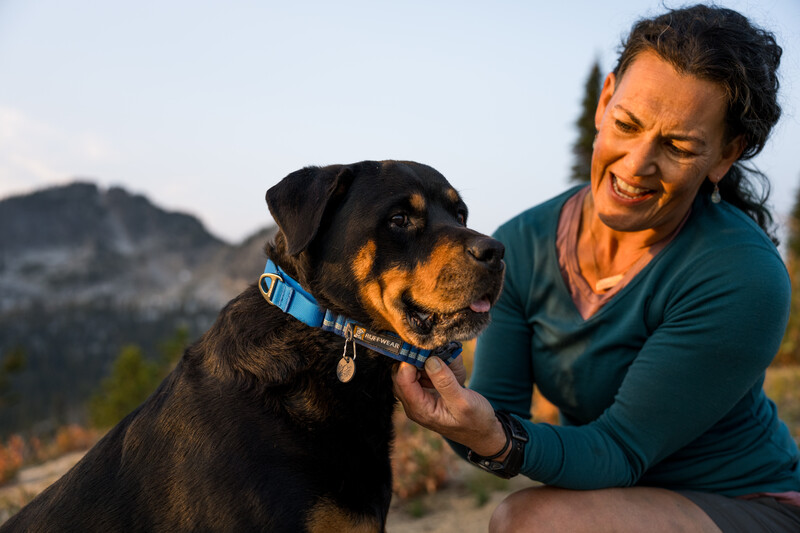 Ruffwear Web Reaction™ Halsbånd Blue Pool
