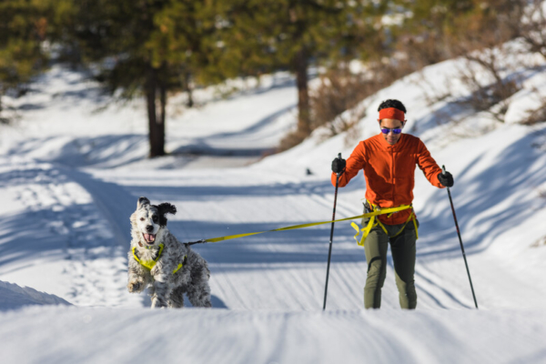 Ruffwear Omnijore™ Joring System Lichen Green