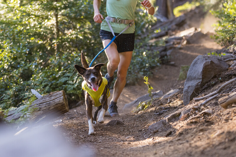 Ruffwear Trail Runner™ Bælte Lichen Green