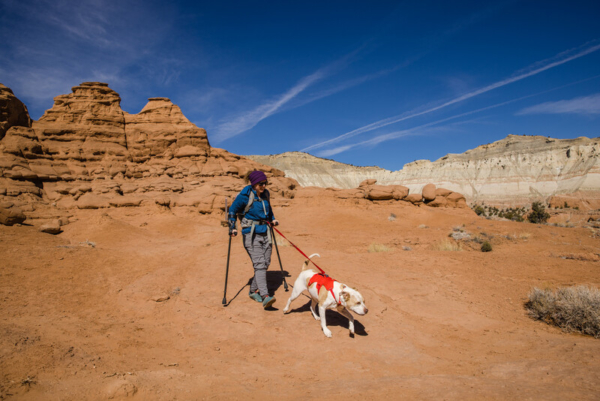 Ruffwear Web Master™ sele Red Sumac