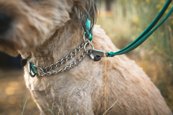 Ruffwear Chain Reaction™ halsbånd River Rock Green