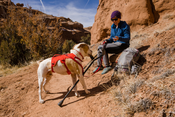 Ruffwear Web Master™ sele Red Sumac