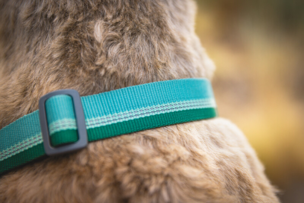 Ruffwear Chain Reaction™ halsbånd River Rock Green