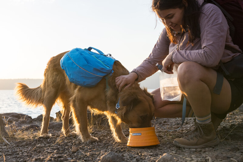 Ruffwear Bivy™ Skål Orange Medium