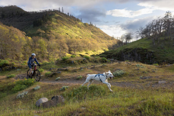 Ruffwear Web Master™ sele Slate Blue