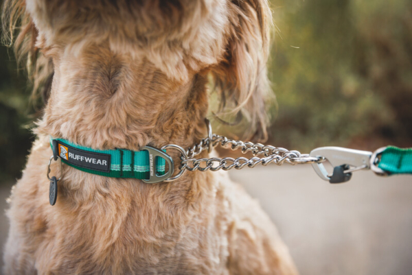 Ruffwear Chain Reaction™ halsbånd River Rock Green