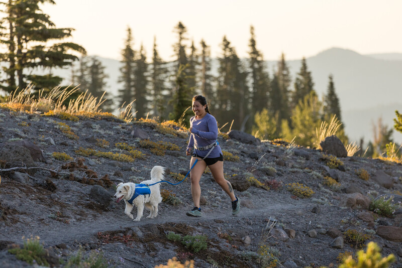 Ruffwear Trail Runner™ Bælte Blue Pool