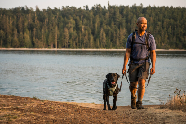 Ruffwear Front Range® sele River Rock Green