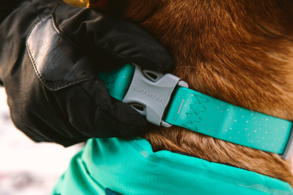 Ruffwear Confluence™ Halsbånd Aurora Teal