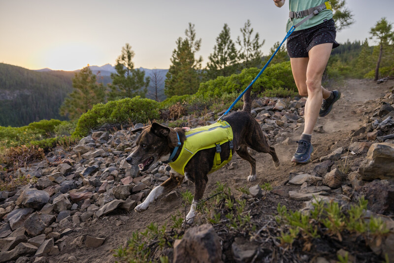Ruffwear Trail Runner™ Bælte Lichen Green