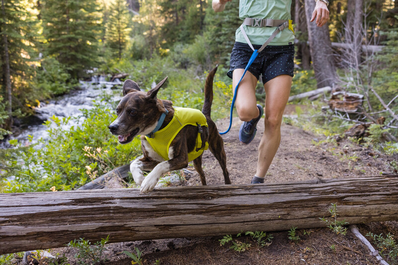 Ruffwear Trail Runner™ Bælte Lichen Green