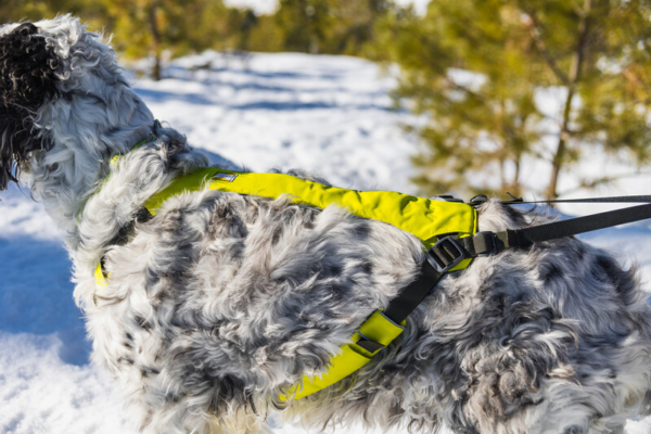 Ruffwear Omnijore™ Joring System Lichen Green