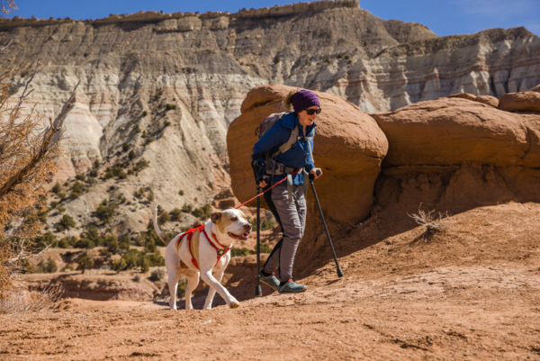 Ruffwear Web Master™ sele Red Sumac