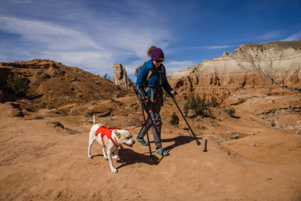 Ruffwear Web Master™ sele Red Sumac