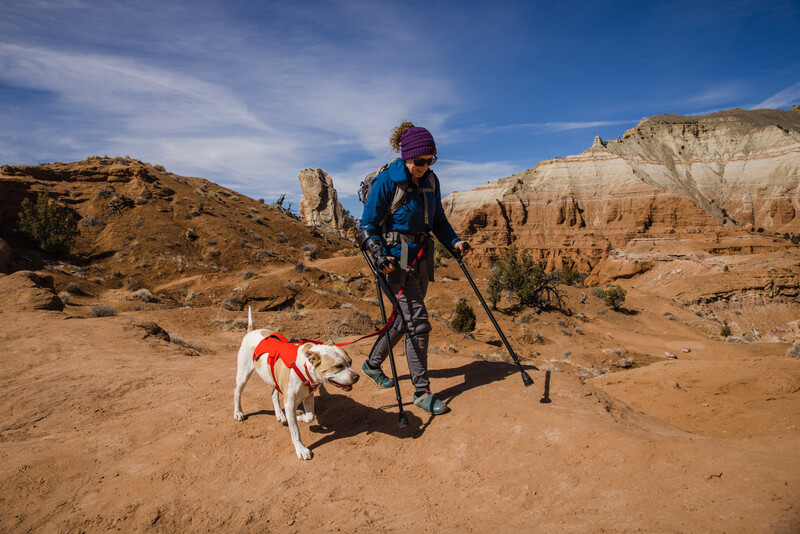 Ruffwear Web Master™ sele Red Sumac