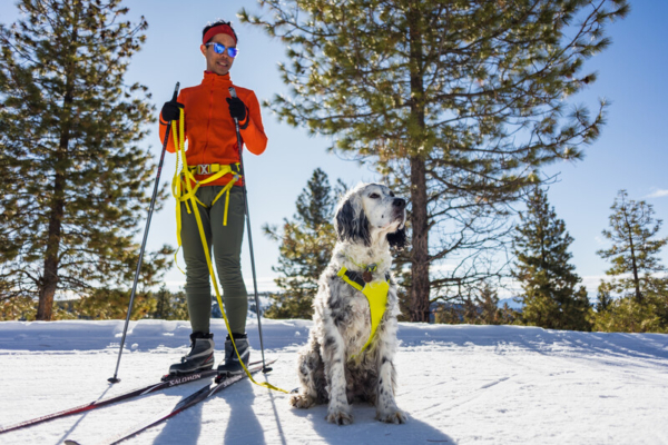 Ruffwear Omnijore™ Joring System Lichen Green