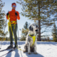 Ruffwear Omnijore™ Joring System Lichen Green