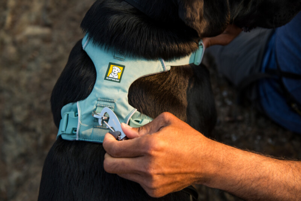 Ruffwear Front Range® sele River Rock Green