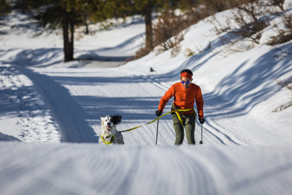 Ruffwear Omnijore™ Joring System Lichen Green