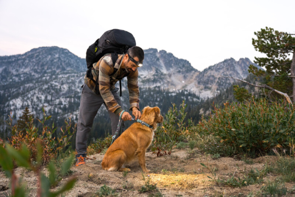 Ruffwear Web Reaction™ Halsbånd River Rock Green