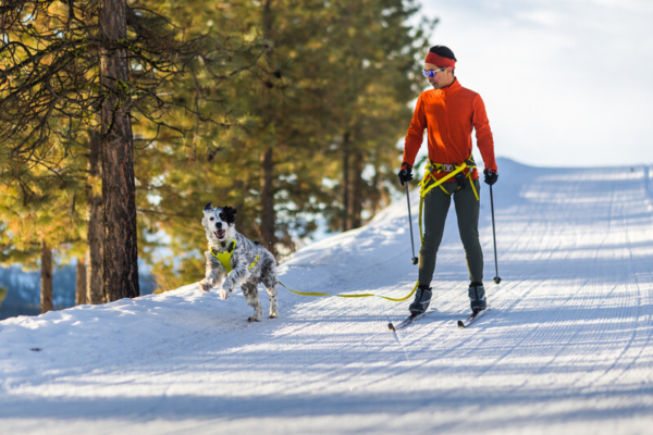 Ruffwear Omnijore™ Joring System Lichen Green