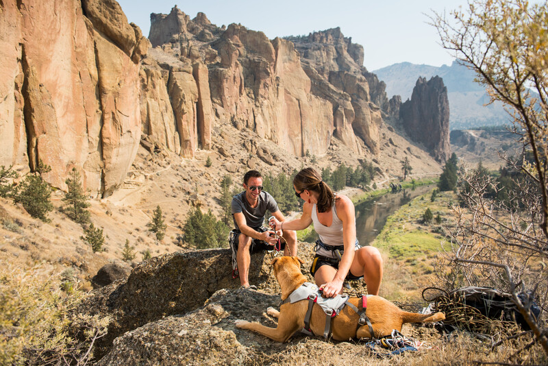 Ruffwear DoubleBack™ Sele Cloudburst Gray