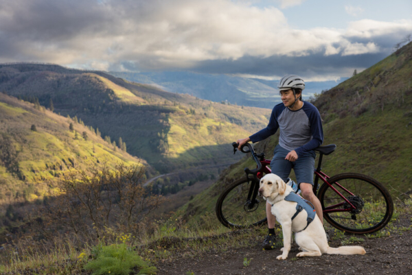 Ruffwear Web Master™ sele Slate Blue