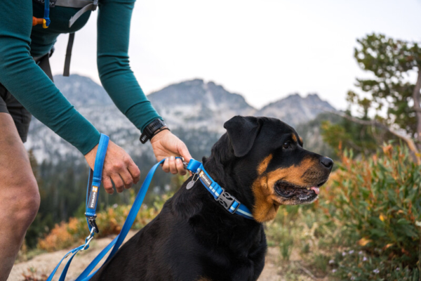 Ruffwear Web Reaction™ Halsbånd Blue Pool