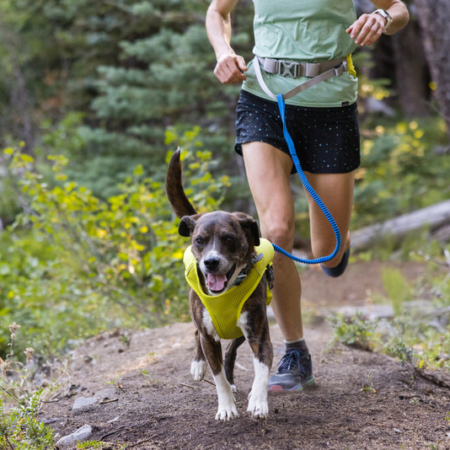 Ruffwear Trail Runner™ Bælte Lichen Green