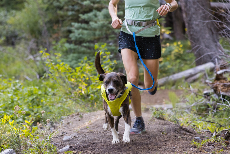 Ruffwear Trail Runner™ Bælte Lichen Green