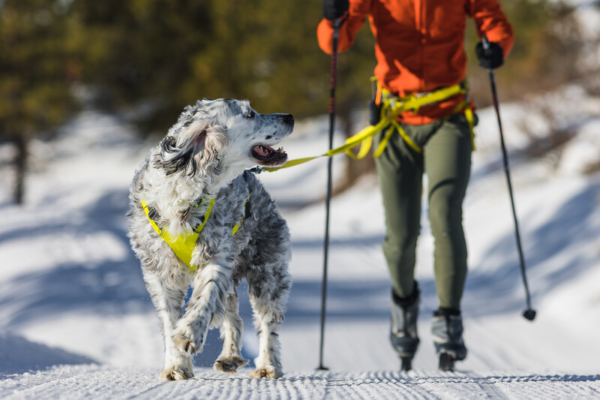 Ruffwear Omnijore™ Joring System Lichen Green