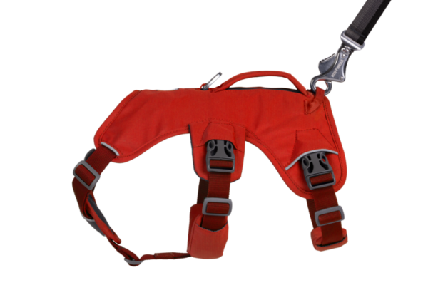 Ruffwear Web Master™ sele Red Sumac