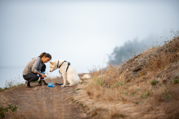 Ruffwear Quencher™ Skål Coastal Mountains Medium