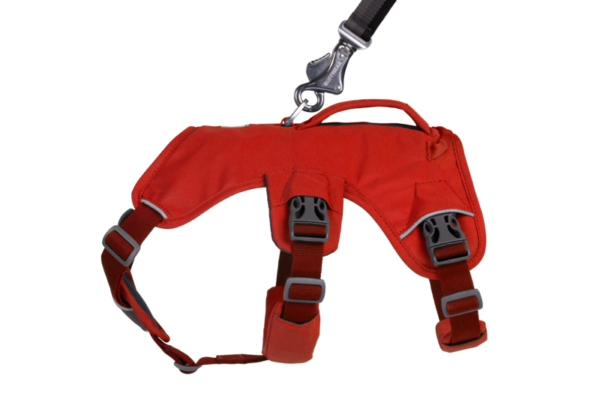 Ruffwear Web Master™ sele Red Sumac