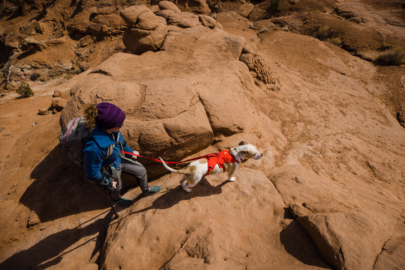 Ruffwear Web Master™ sele Red Sumac