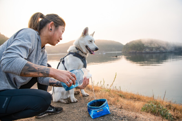 Ruffwear Quencher™ Skål Coastal Mountains Medium