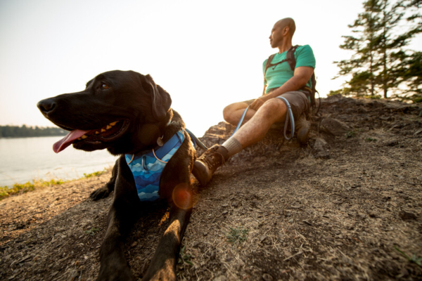 Ruffwear Front Range® sele Coastal Mountains