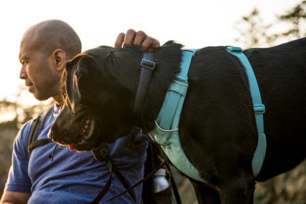 Ruffwear Front Range® sele River Rock Green