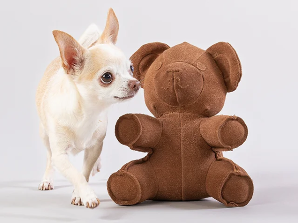 Paikka Teddy toy 28 cm.