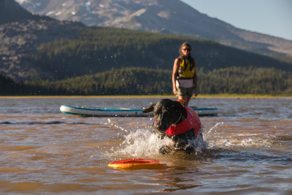 Ruffwear Float Coat™ Svømmevest Red Sumac