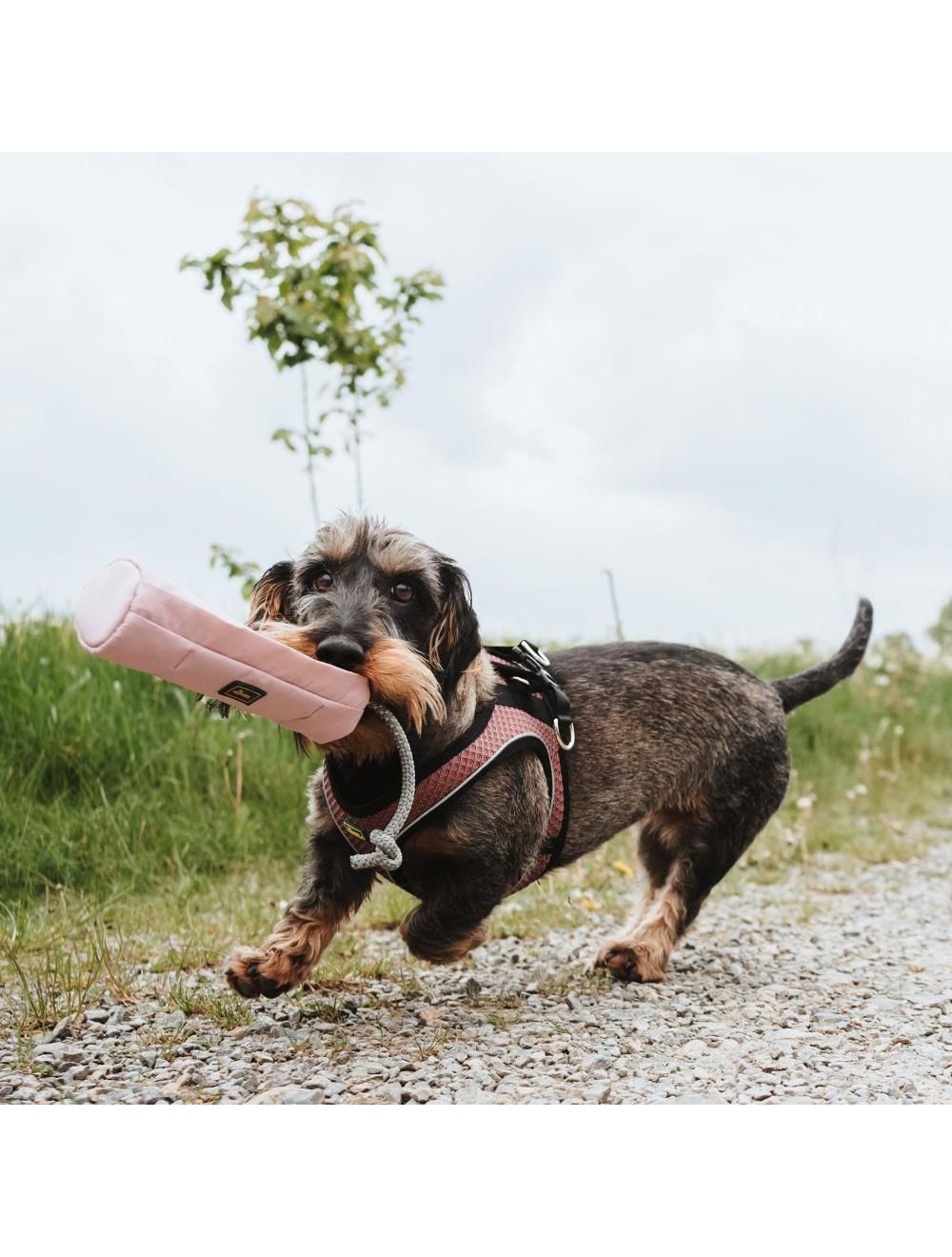 Hunter snack dummy lyserød med reb
